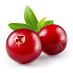 Cranberry